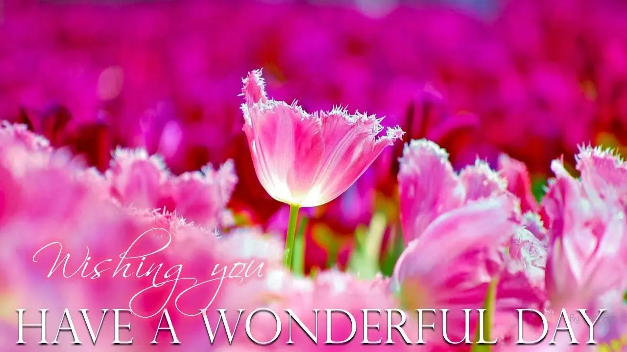 Capturas de pantalla de Good Morning Noon Night wishes