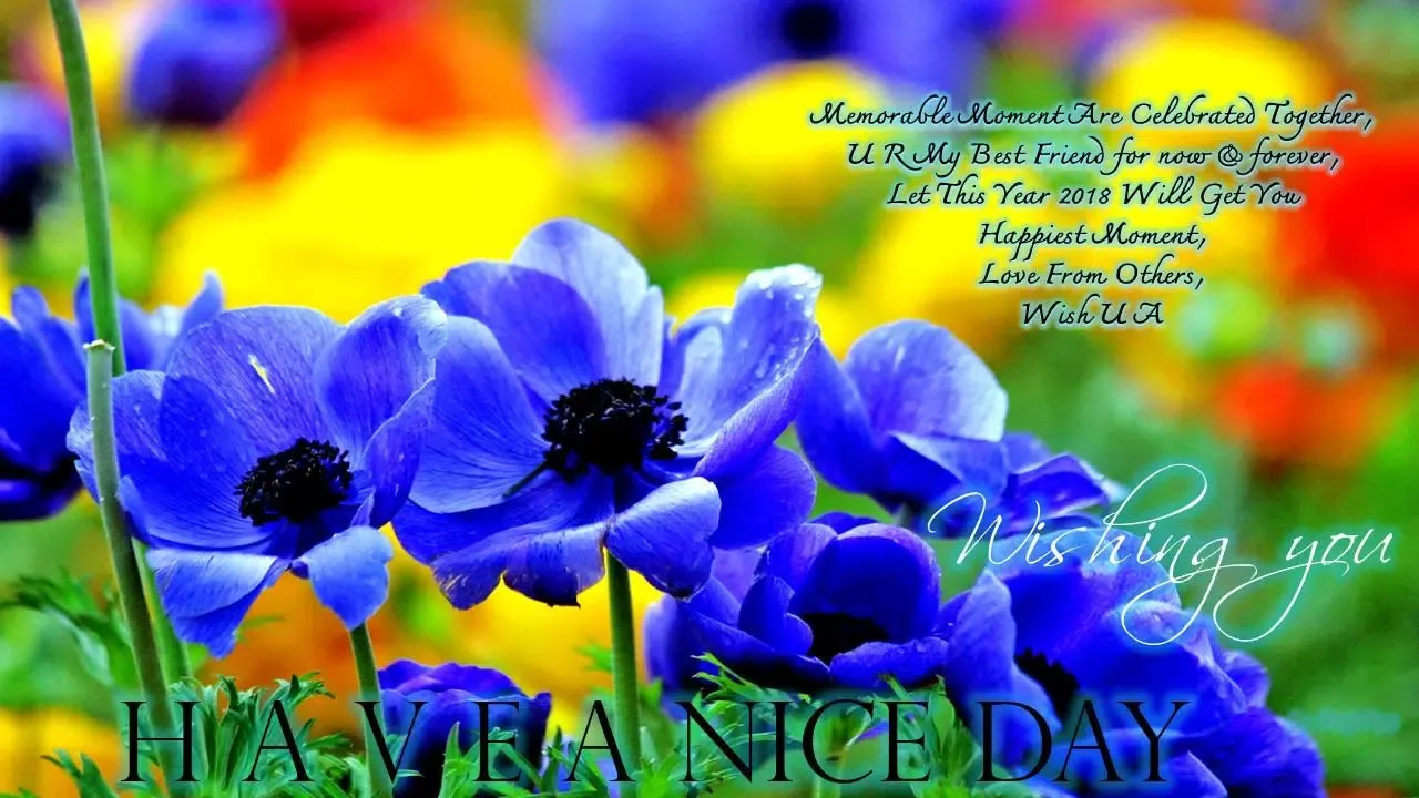 Capturas de pantalla de Good Morning Noon Night wishes