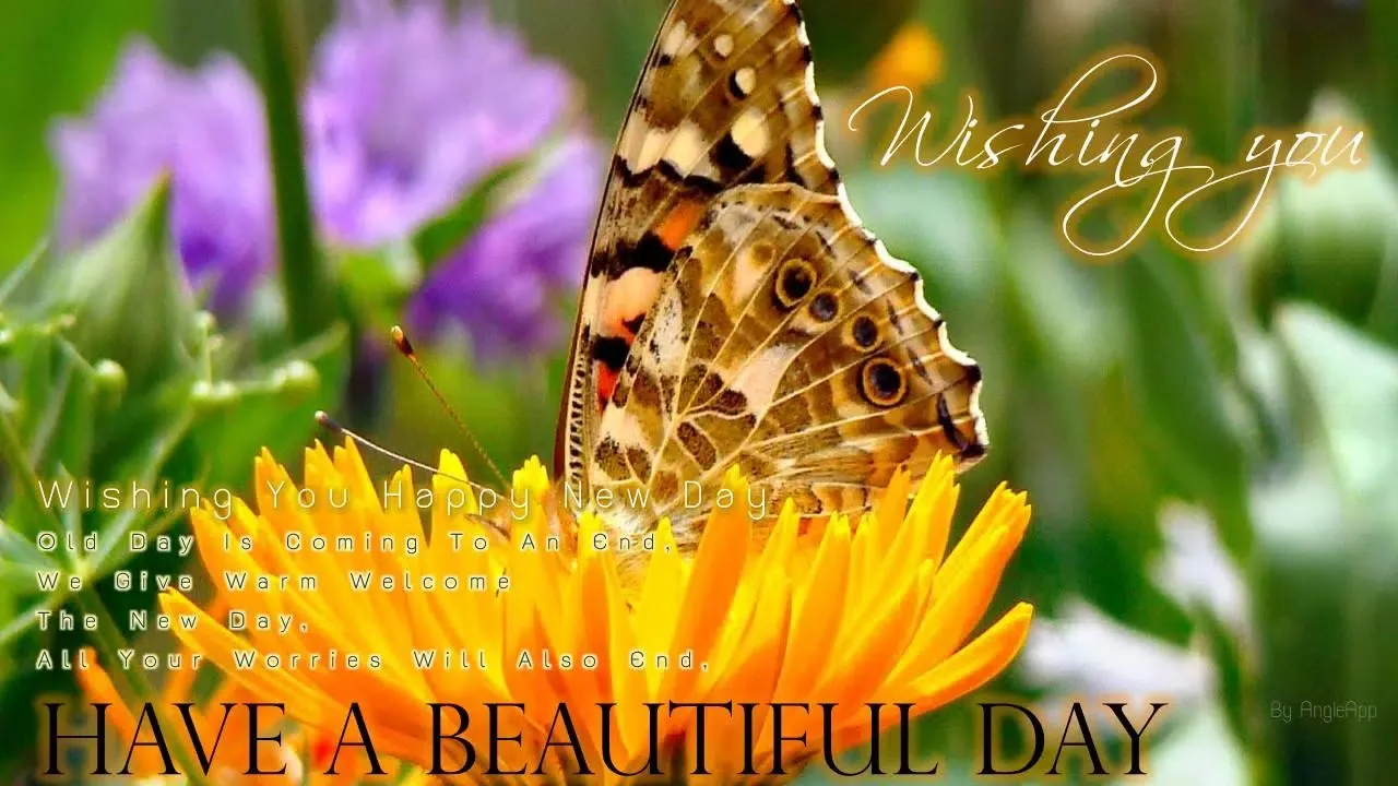 Capturas de pantalla de Good Morning Noon Night wishes