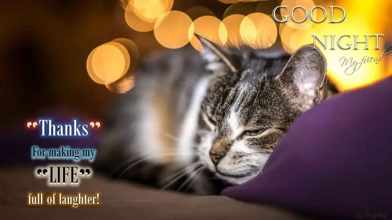 Capturas de pantalla de Good Morning Noon Night wishes