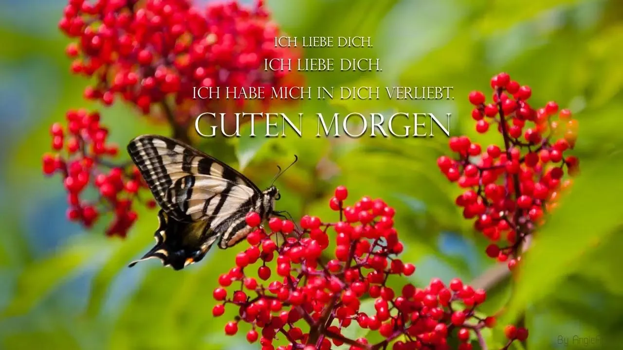 Guten Morgen Abend Gute Nacht應用截圖