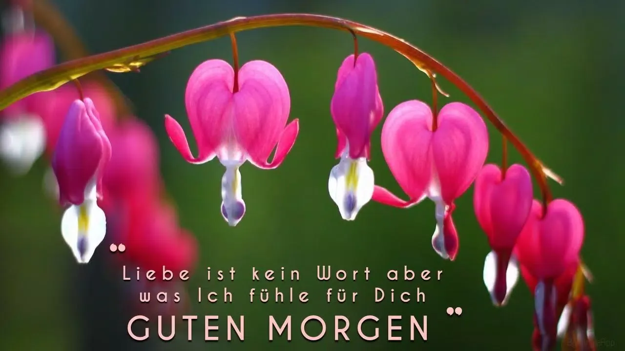 Guten Morgen Abend Gute Nacht應用截圖