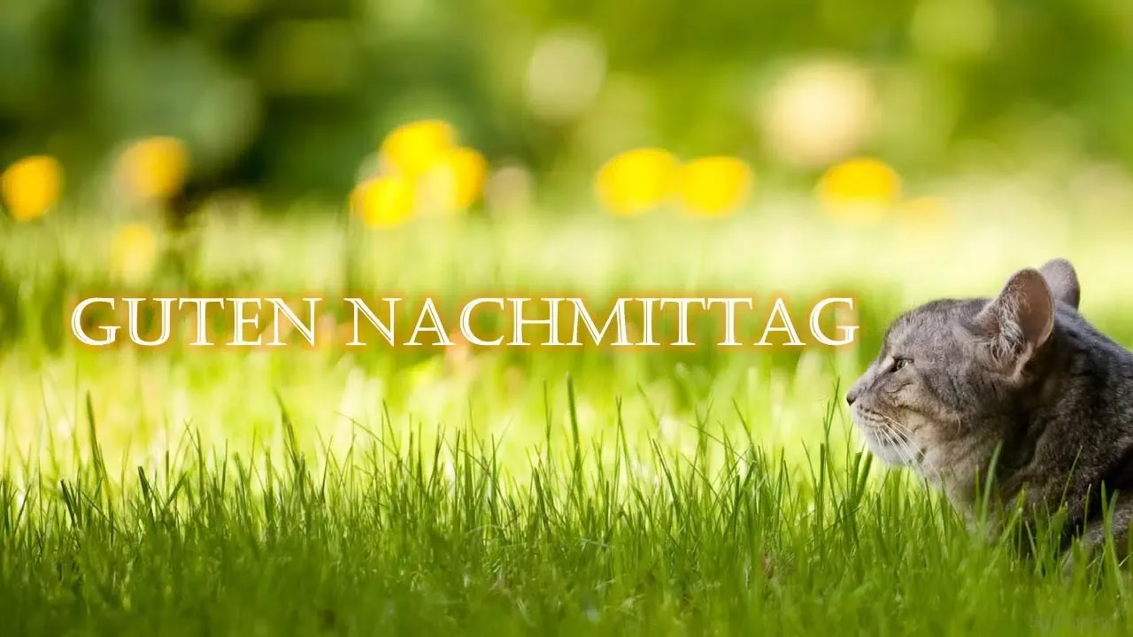 Guten Morgen Abend Gute Nacht應用截圖