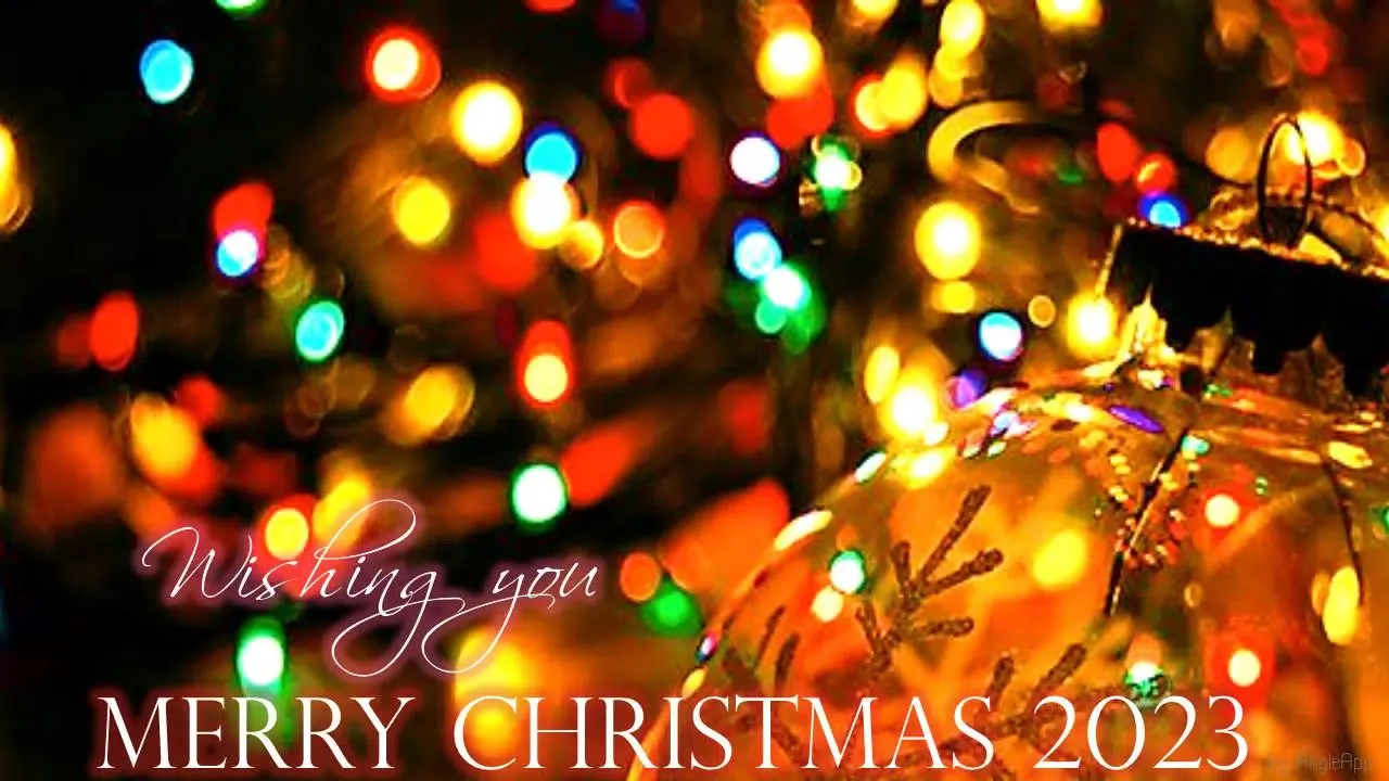 Merry Christmas Greeting Screenshots