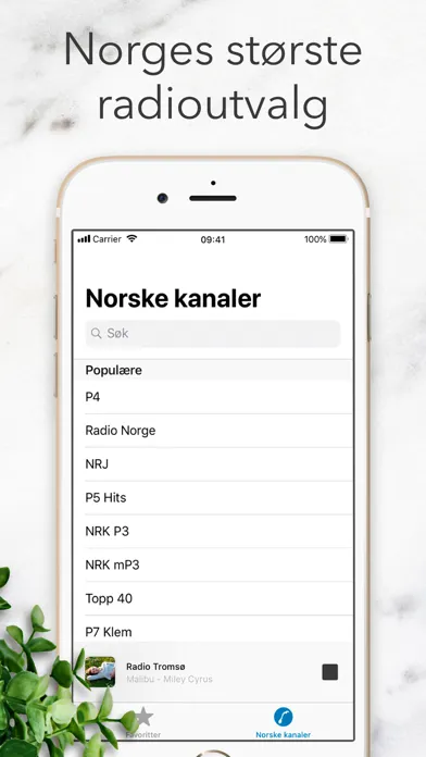 Radioappen Radio - nettradio應用截圖
