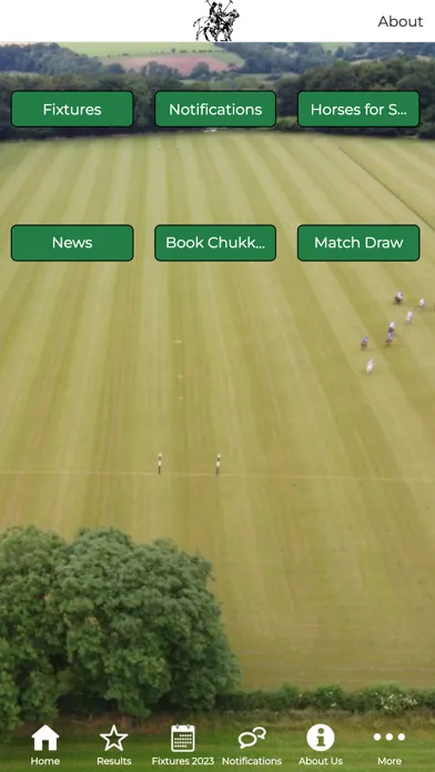 Screenshot di Edgeworth Polo Club