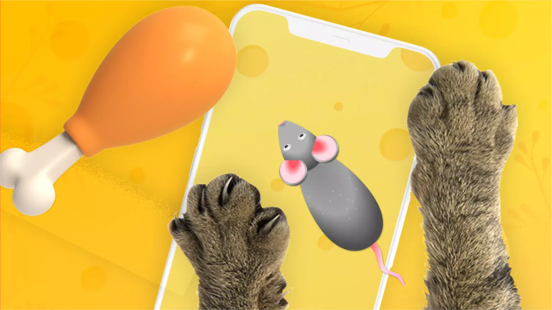 صور Cat Games - Games For Cats