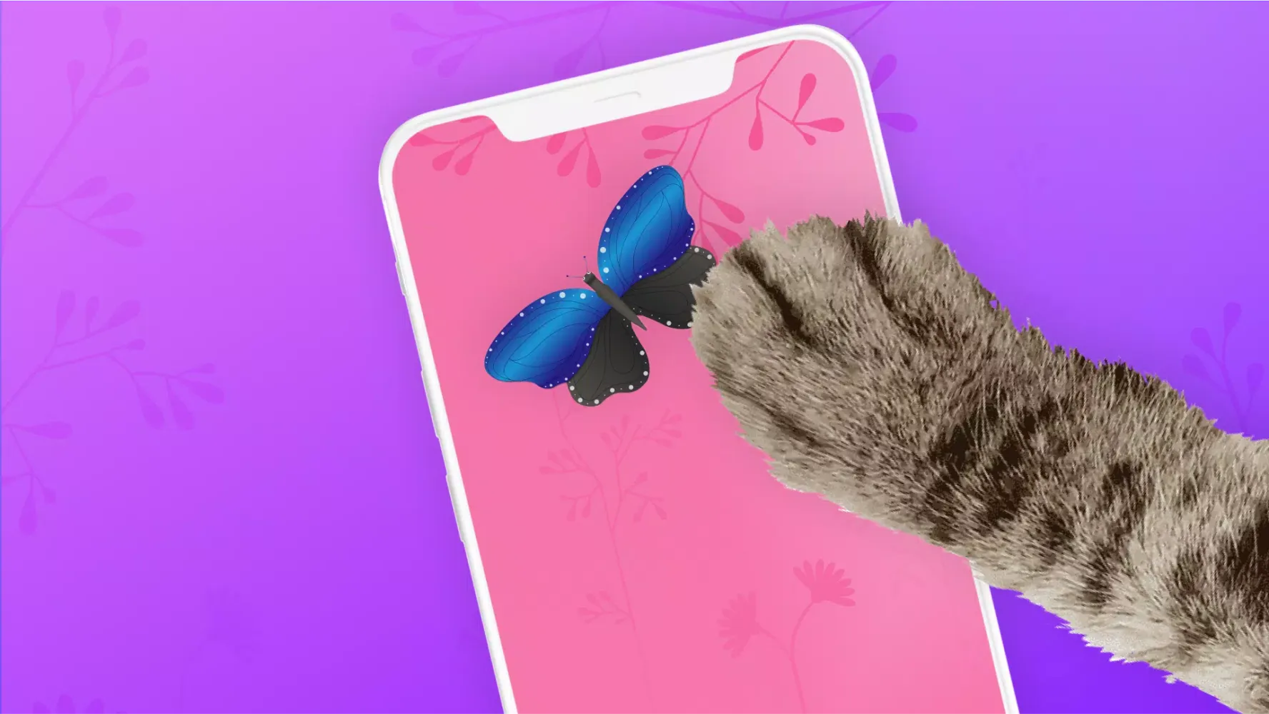 صور Cat Games - Games For Cats
