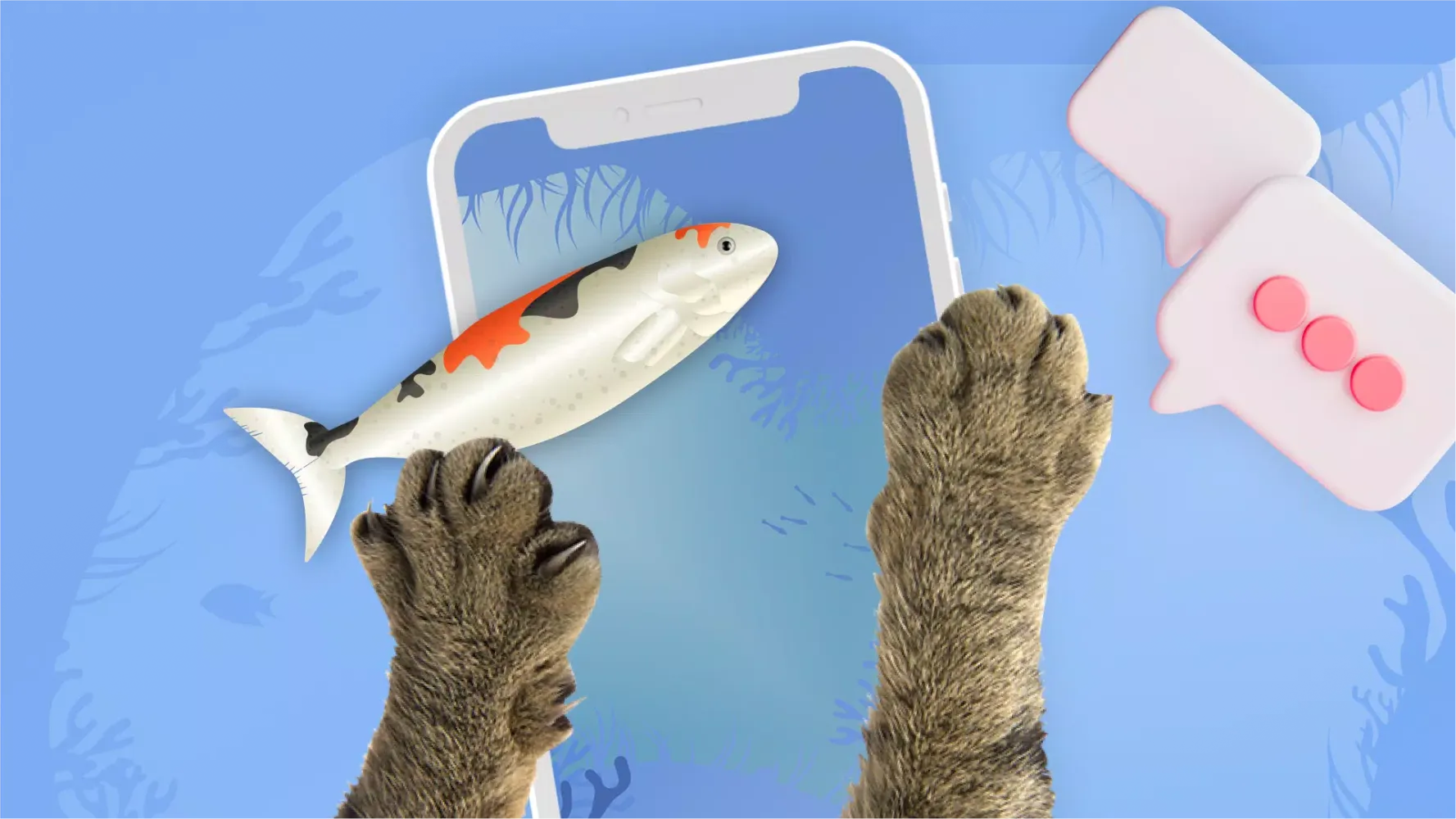 صور Cat Games - Games For Cats