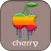 cherry fukuoka
