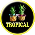 Tropical Ringtones