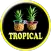 Tropical Ringtones
