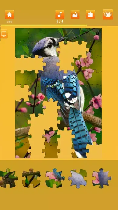 Скриншоты Jigsaw mania 2