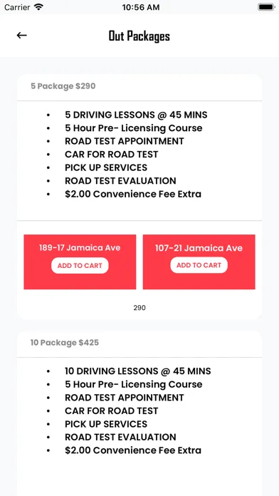 ENA's Driving School Ekran Görüntüleri