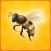 Pocket Bees: Colony Simulator
