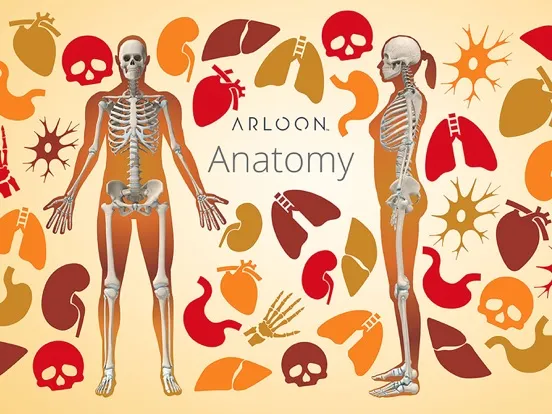 Tangkapan layar Arloon Anatomy iPad 