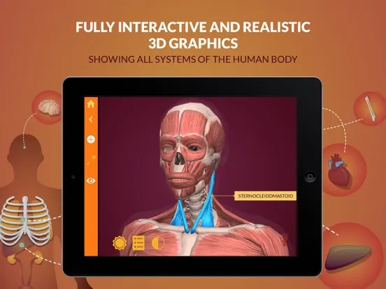 Tangkapan layar Arloon Anatomy iPad 