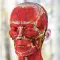 Inside Her: 3D Anatomy App