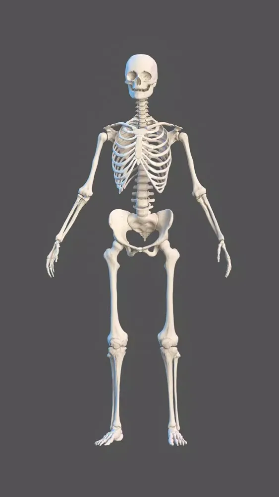 Inside Her: 3D Anatomy App スクリーンショット
