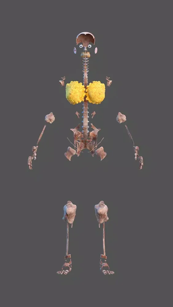 Inside Her: 3D Anatomy App スクリーンショット