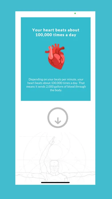 ภาพหน้าจอของ Human Anatomy AR
