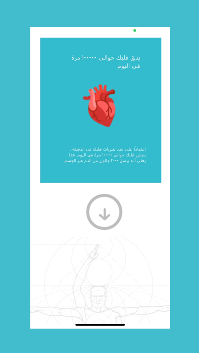 Human Anatomy AR應用截圖