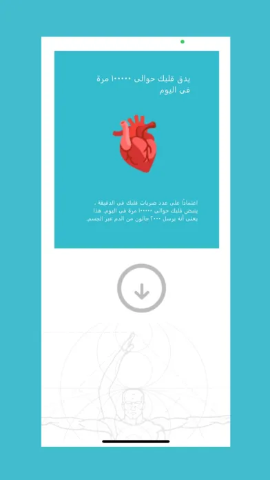 ภาพหน้าจอของ Human Anatomy AR