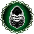 Gorilla - Bass Studio Suite Gorilla - Bass Studio Suite