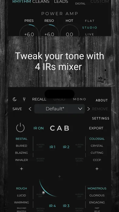 Capturas de pantalla de Rhino - Guitar Amp Sim