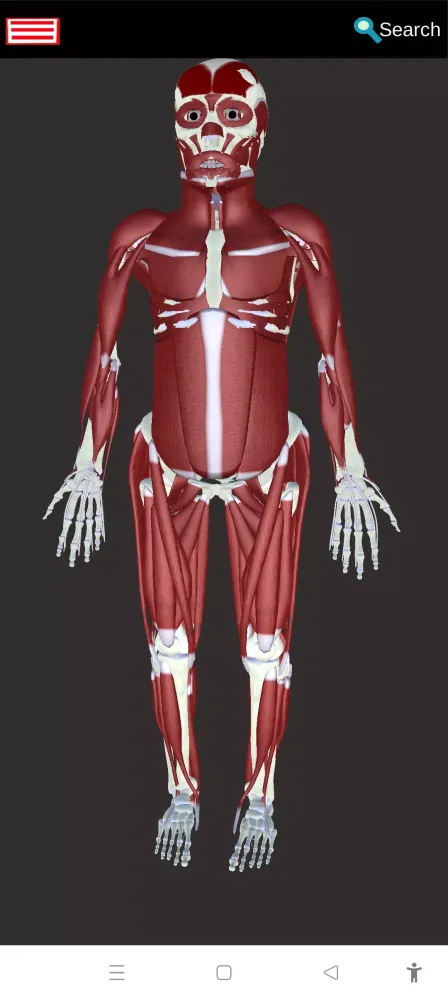 Tangkapan layar Medical Anatomy -3D Atlas
