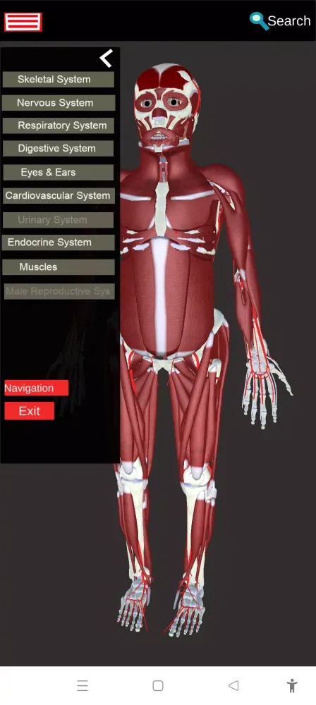 Tangkapan layar Medical Anatomy -3D Atlas