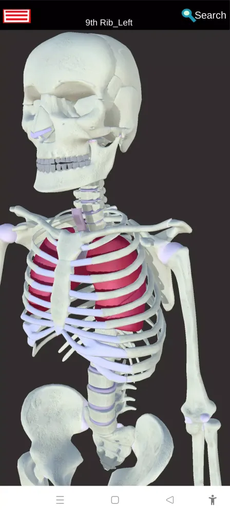 Tangkapan layar Medical Anatomy -3D Atlas