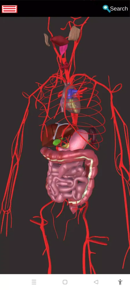Tangkapan layar Medical Anatomy -3D Atlas