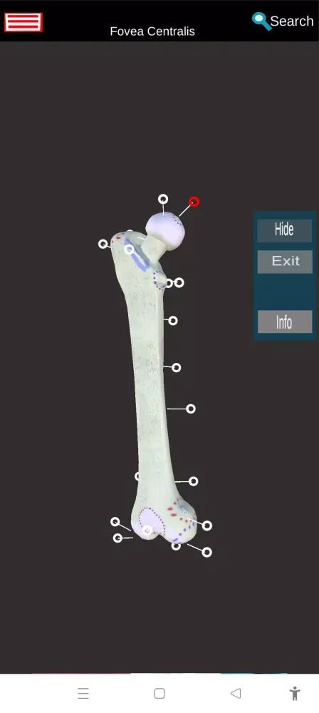 Tangkapan layar Medical Anatomy -3D Atlas
