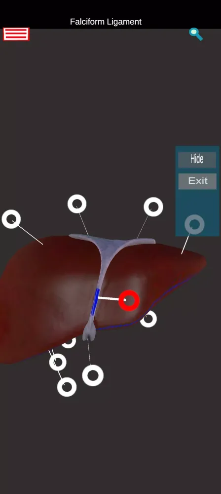 Tangkapan layar Medical Anatomy -3D Atlas