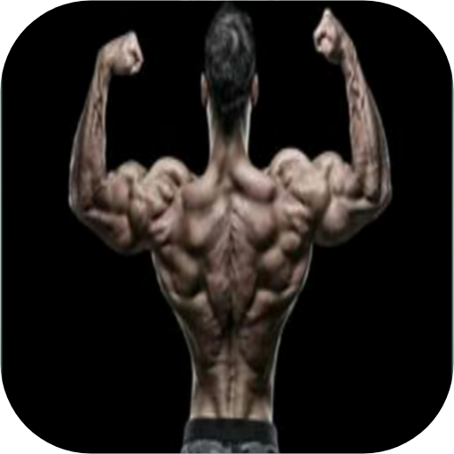 Back Workout Exercises At Home