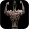 Back Workout Exercises At Home