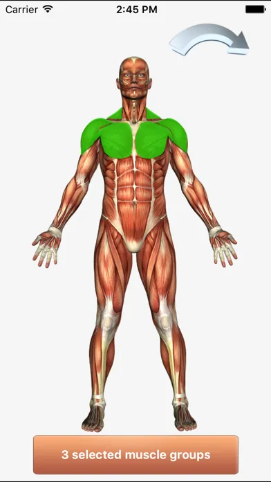 ภาพหน้าจอของ 101+ Fitness Exercises