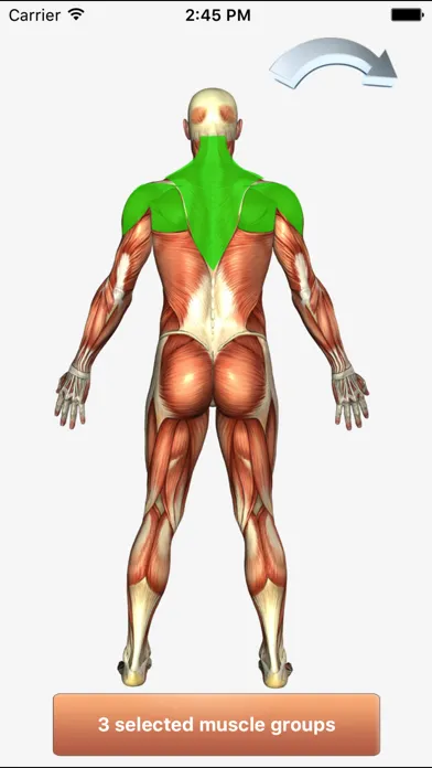 ภาพหน้าจอของ 101+ Fitness Exercises