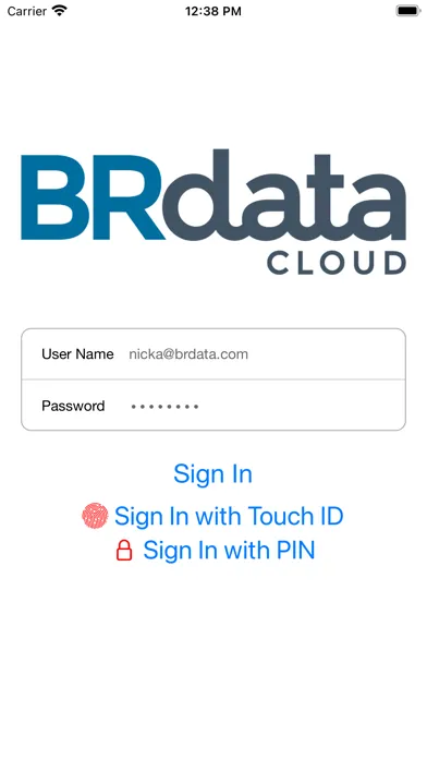 ภาพหน้าจอของ BRdata Cloud