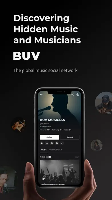 Capturas de tela do BUV - Hidden Music & Musicians