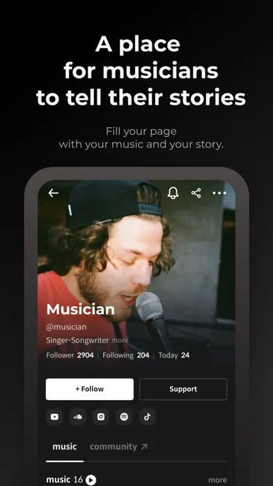 Capturas de tela do BUV - Hidden Music & Musicians