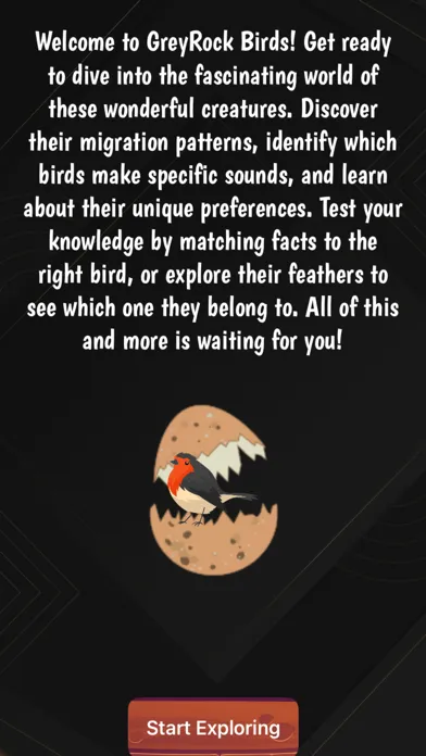 Grey Rock: Time to Quiz Screenshots
