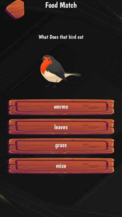 Grey Rock: Time to Quiz Screenshots