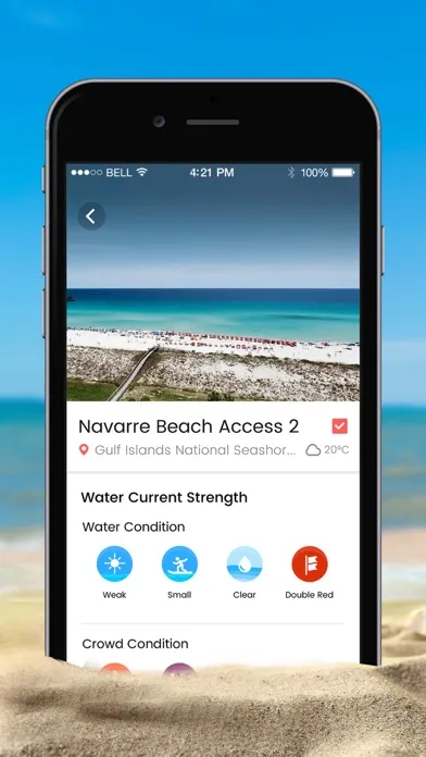 تصاویر Beach Bums