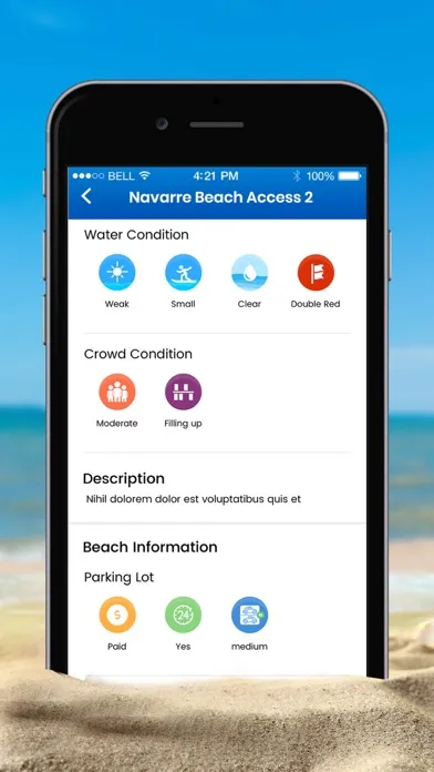 تصاویر Beach Bums