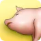 Happy Oink