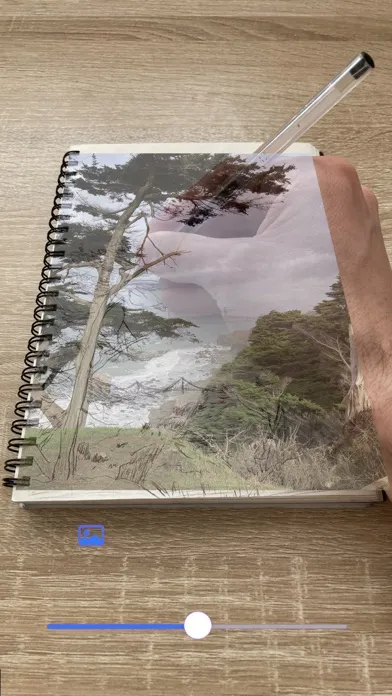 Parrot Paper سکرین شاٹس