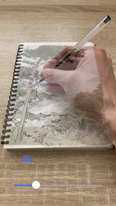 Parrot Paper سکرین شاٹس