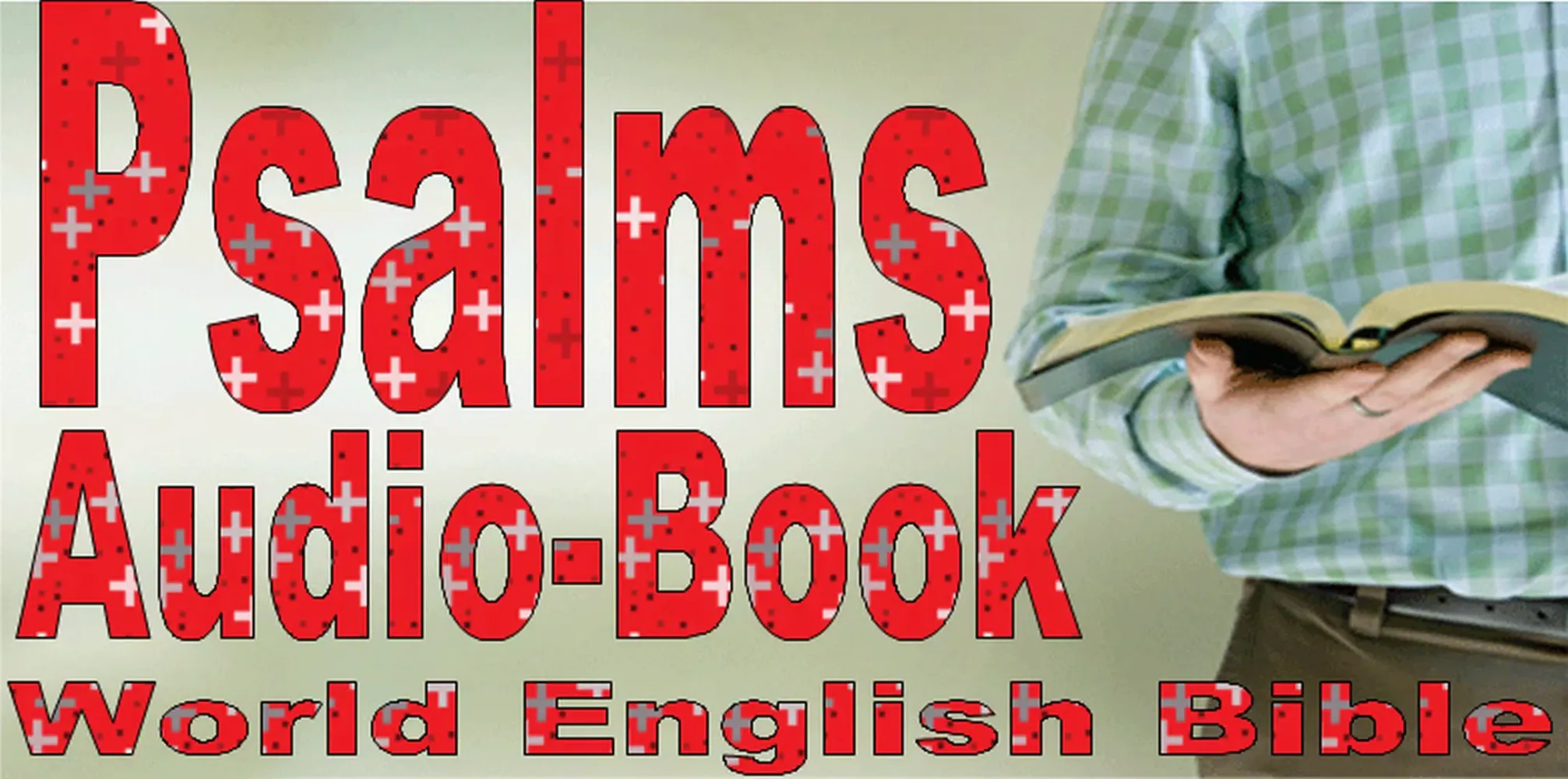 Psalms Bible Audio应用截图